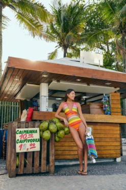 Farm Rio Shiny Stripes One Piece Swimsuit -Beachwear Threads 307149 One Piece Swimsuit Shiny Stripes Lifestyle